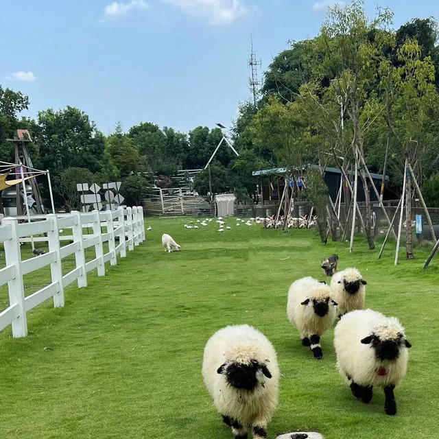 長埤湖精靈村