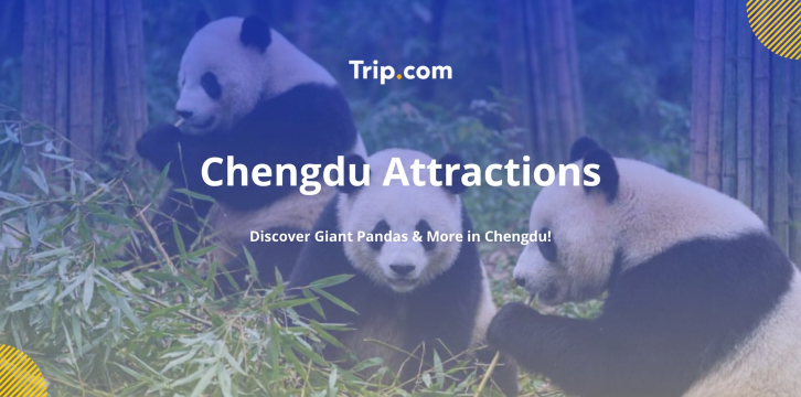 Chengdu Attractions Guide: Pandas and More