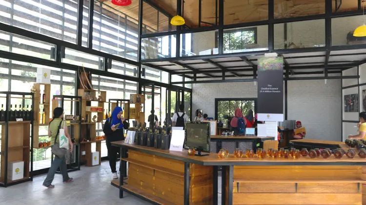 The Jewel of Malaysia's Organic Honey Production – Melipoly Bee Gallery