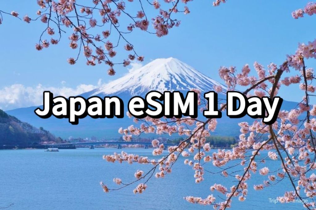 【6% Off】Japan eSIM 1 Day Guide from $0.93: eSIM Providers, How to Setup | Trip.com