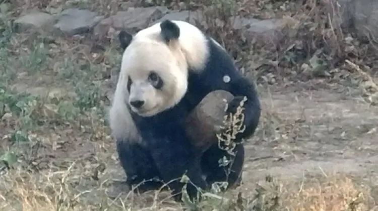 Beijing Itinerary: 5 Days in Beijing