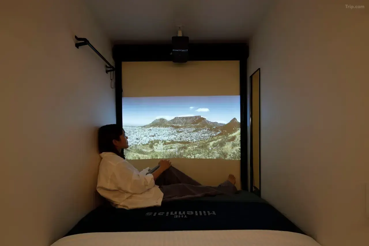 ザ・ミレニアルズ・渋谷