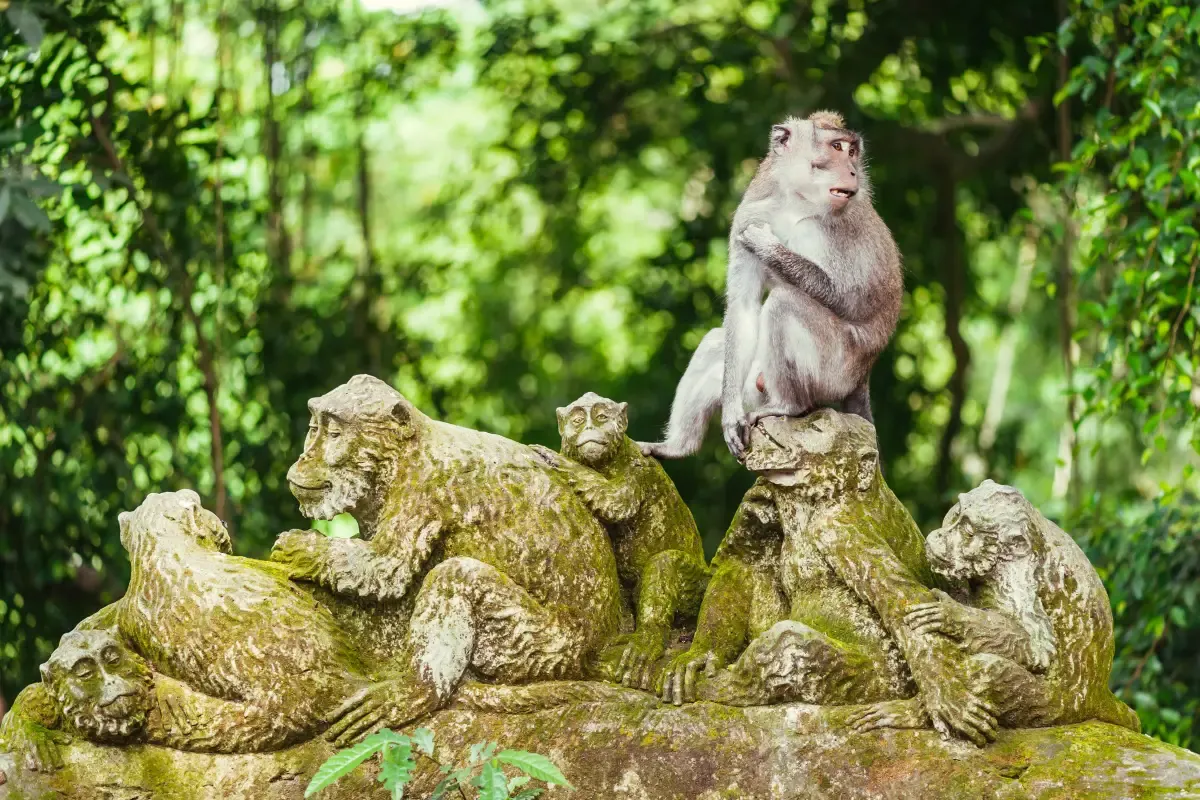 Sacred Monkey Forest Sanctuary: