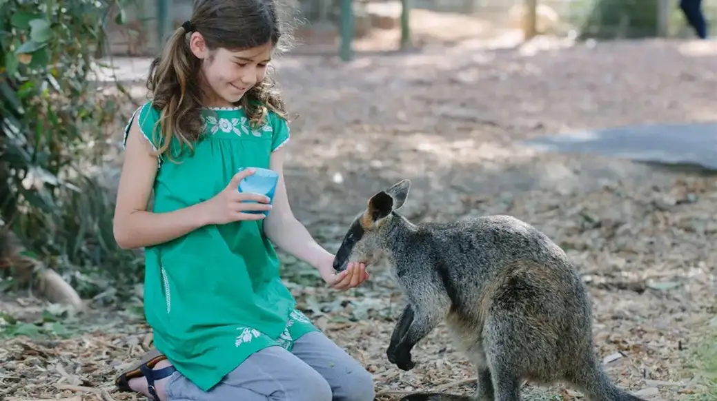 Featherdale Wildlife Park 