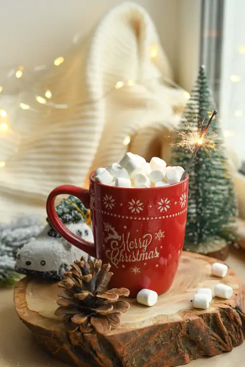 Source: Raspopova Marina/ unsplash Merry Christmas 2022!