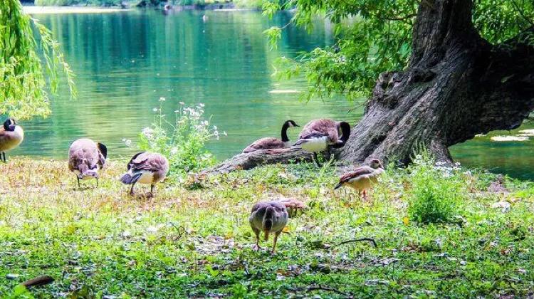 ひとり旅でロンドンに行ったらやりたい5つのこと