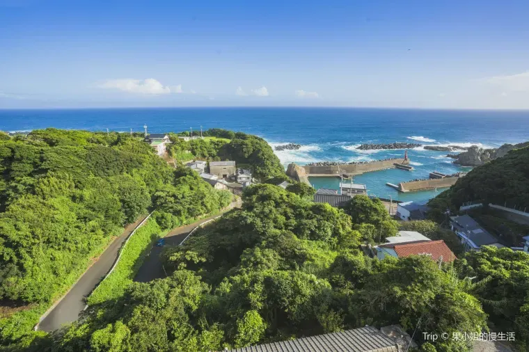 お土産選びで高知旅行はもっと楽しくなる!