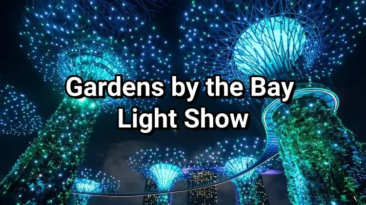 Gardens by the Bay Light Show
