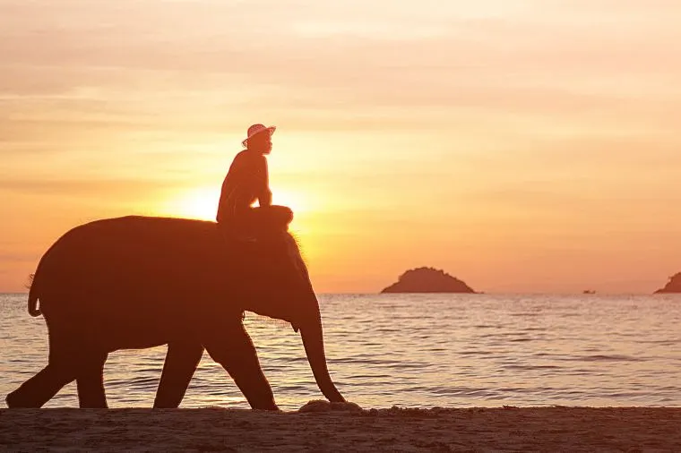 เกาะช้าง 