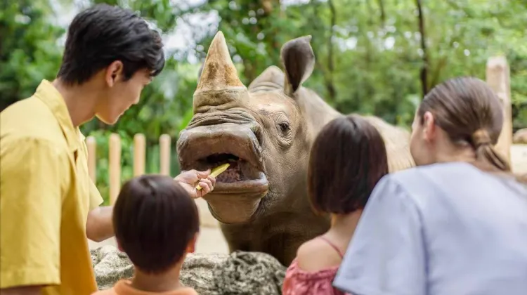 Sertai pengalaman memberi makan haiwan