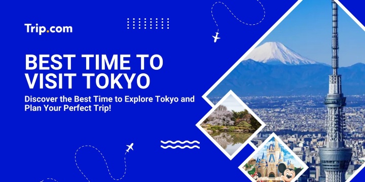Best Time to Visit Tokyo (Perfect Seasons, Weather & Tips) | Trip.com