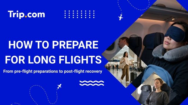 Expert Tips on How to Prepare for Long Flights | Trip.com