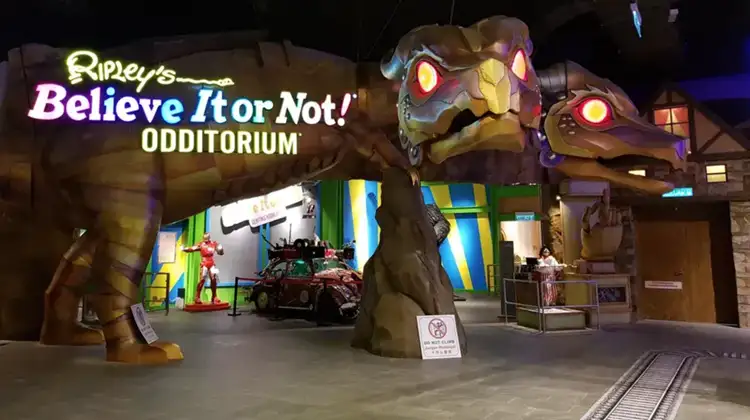 Widen your horizons at Ripley’s Believe it or Not Odditorium