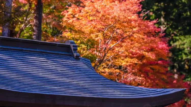 ひとり旅で知っておきたい徳島のルールやマナー