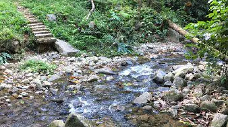 Hiking Kuala Lumpur Gunung Nuang