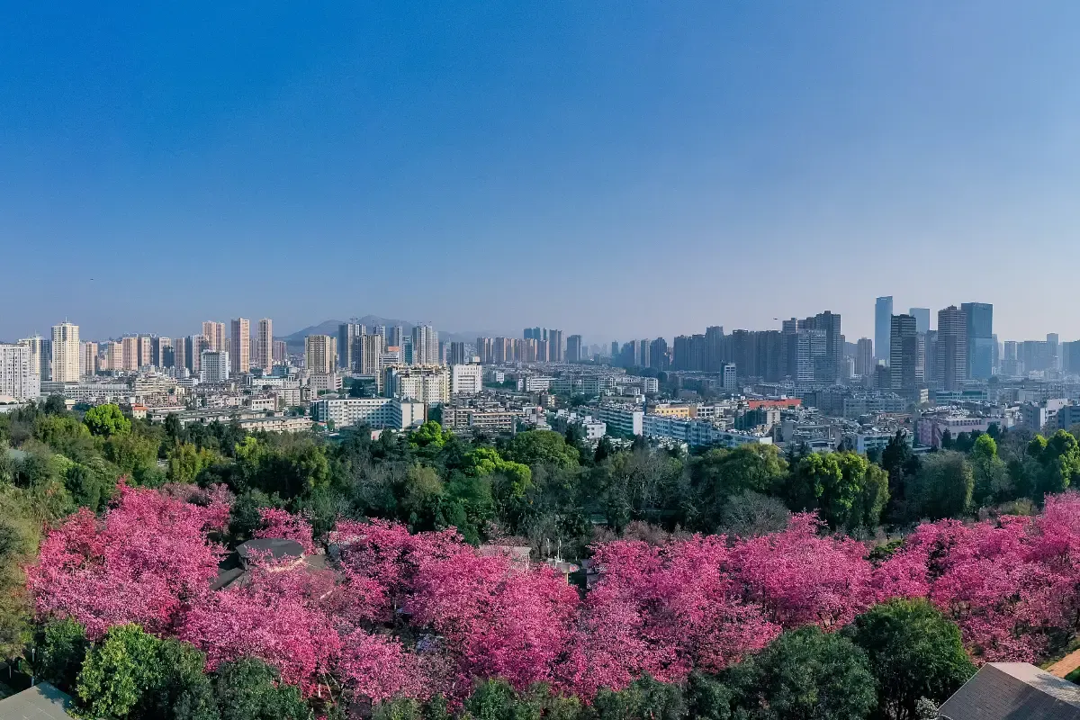 Yuantong Mountain(ภูเขาหยวนทง)