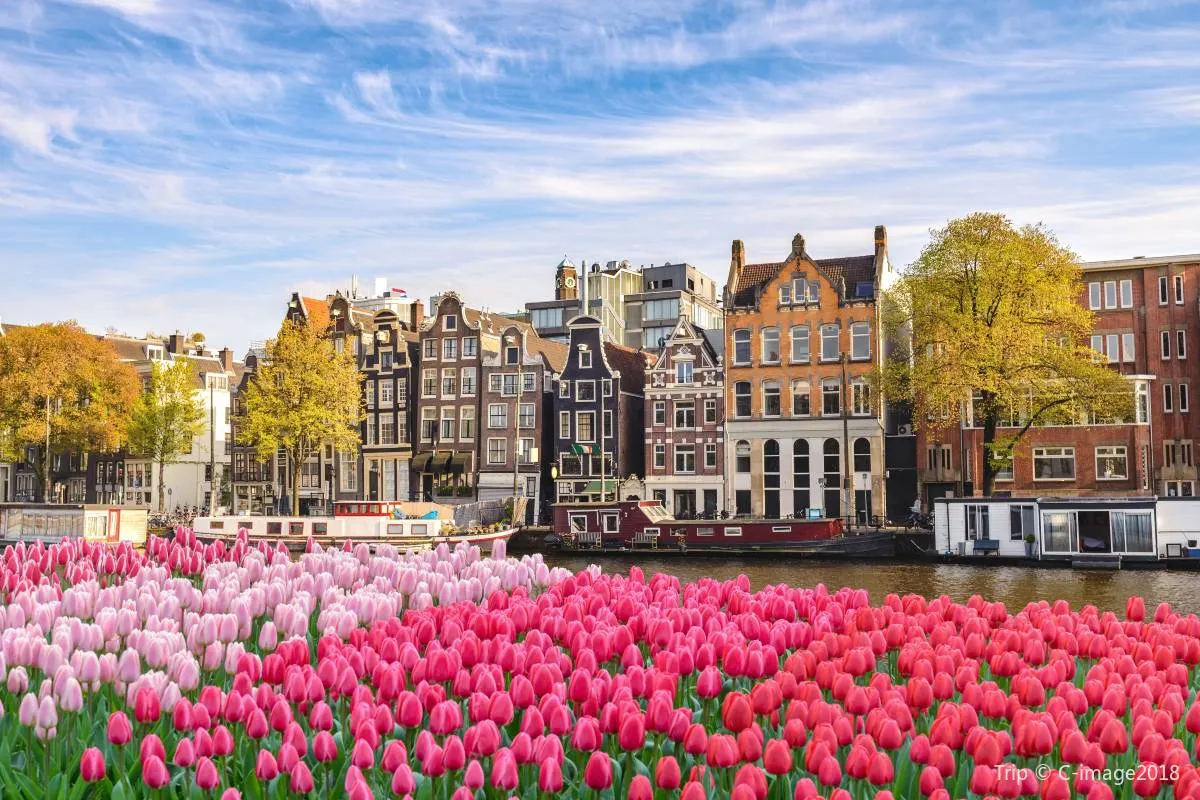 Canals of Amsterdam
