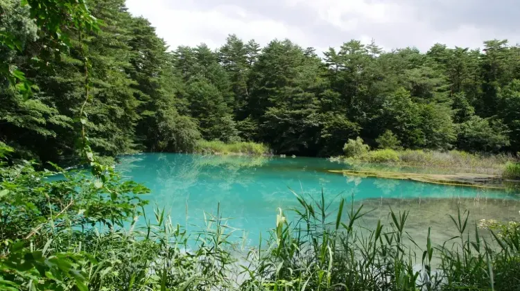 福島のお土産選びでよくある質問