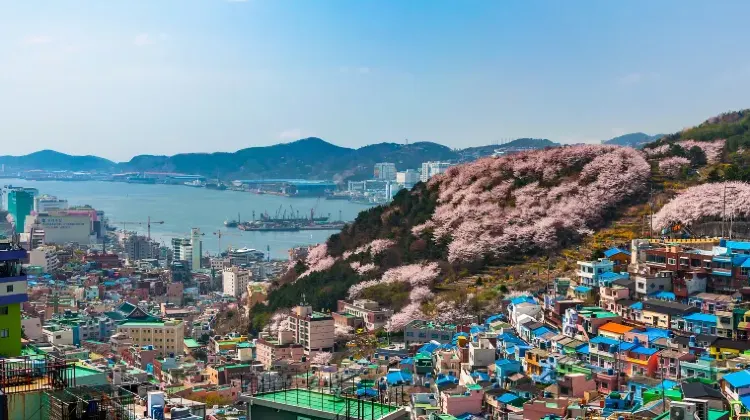 釜山旅行でやりたいこと3つ