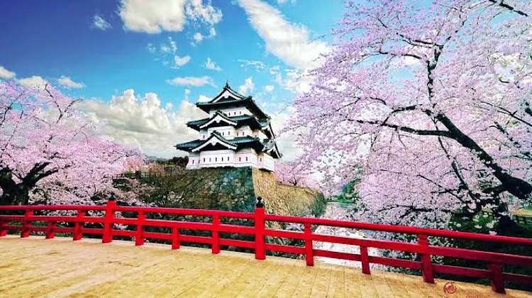 Best Time to Visit Tokyo and What to Wear