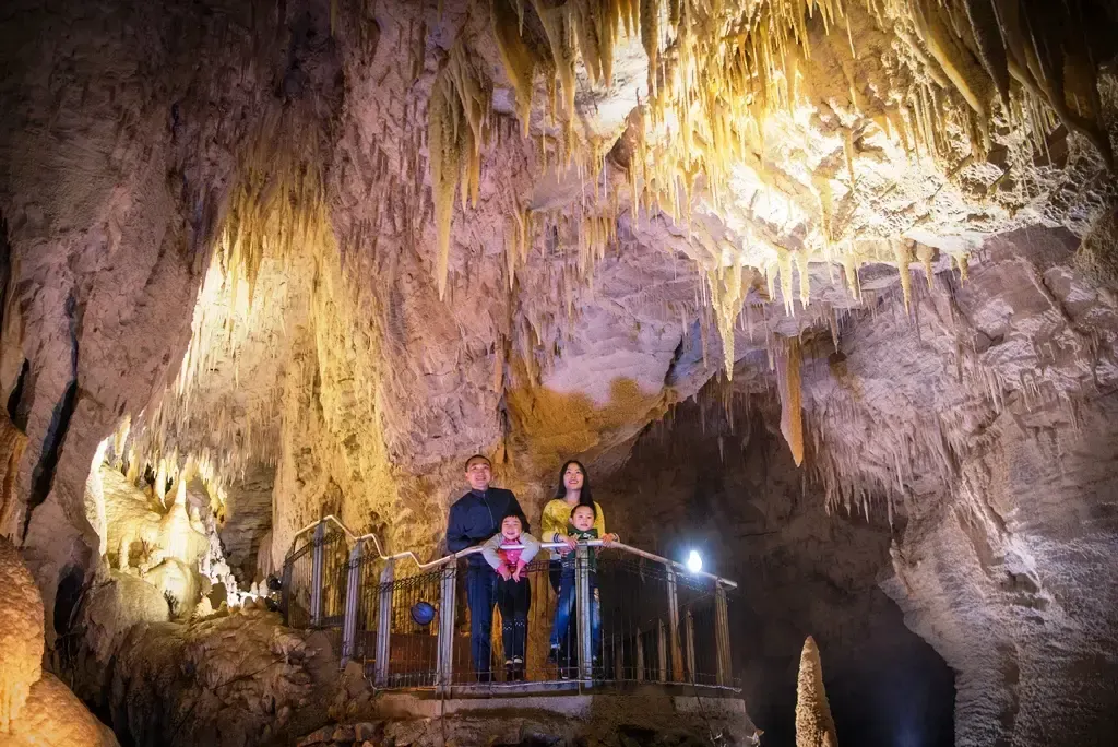 Waitomo Caves in New Zealand