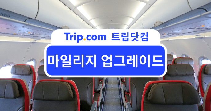 마일리지 업그레이드란? 항공권 등급 올리는 효율적인 방법 | 트립닷컴