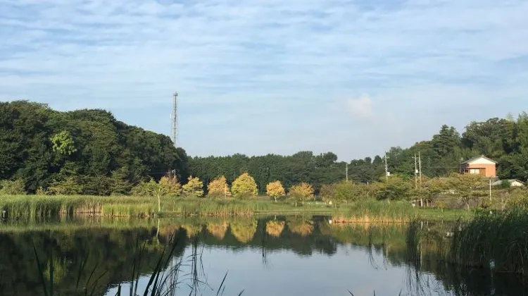 ひとり旅で知っておきたい千葉のルールやマナー