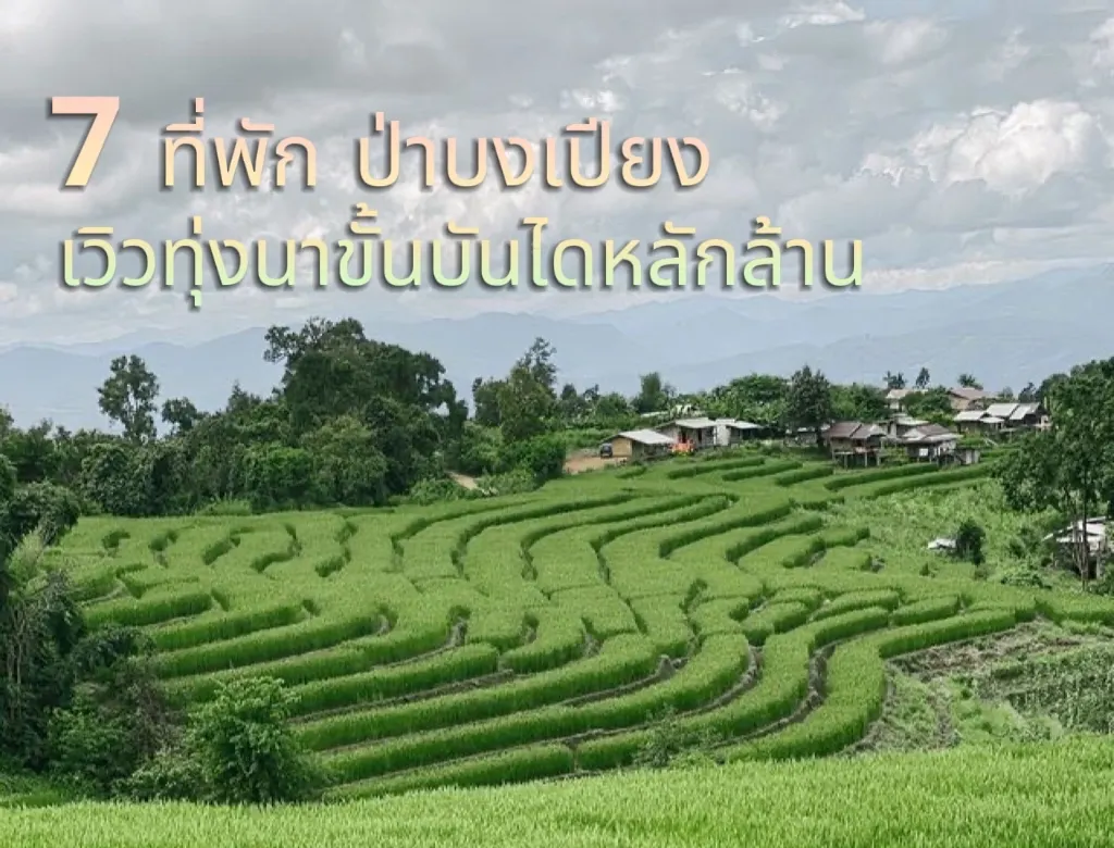 เก็บกระเป๋า ไปเที่ยว ป่าบงเปียง ที่พัก วิวทุ่งนาขั้นบันไดหลักล้าน