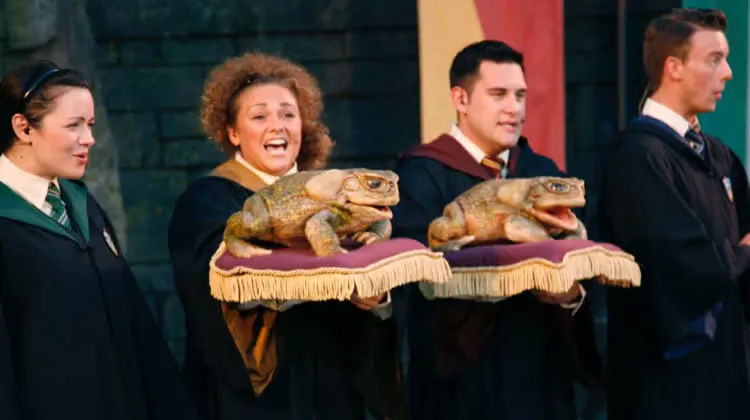 What to do at Universal Studios Orlando?