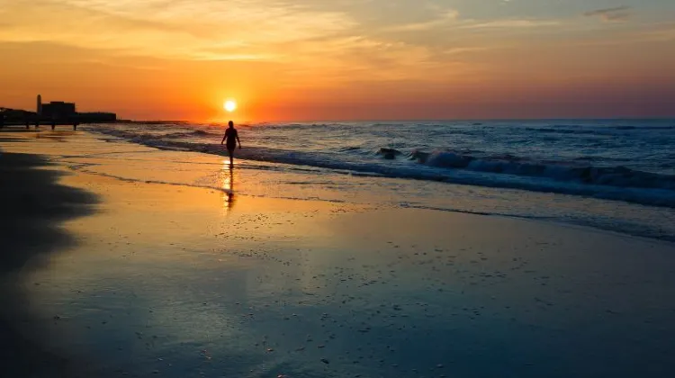 天気が雨の日にロサンゼルスで楽しみたい3つのこと