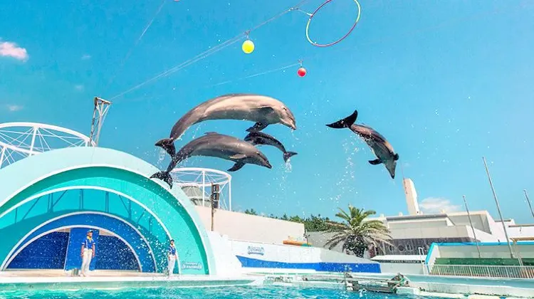 「センスがいい」と言われる千葉お土産の選び方