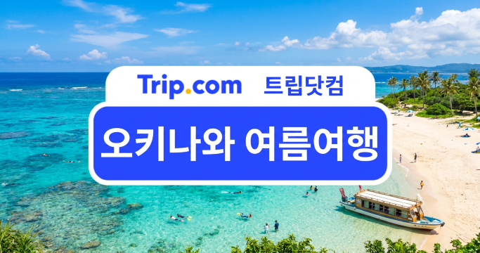 오키나와 여름여행 해수욕부터 액티비티까지 총정리 | 트립닷컴