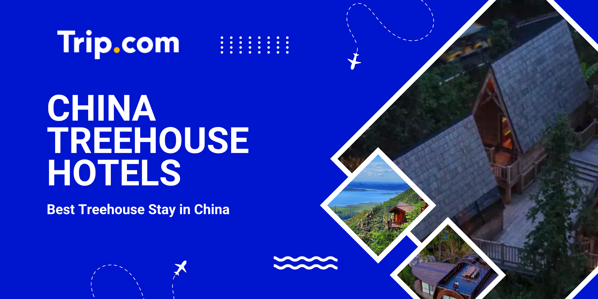 Treehouse Hotels & Resorts in China 2026: Best Tree House Stays | Trip.com