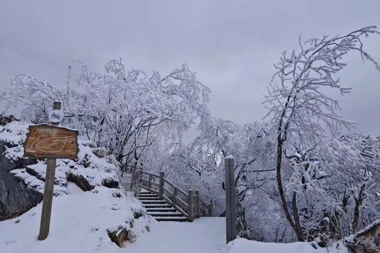 成都氣溫 - 西嶺雪山