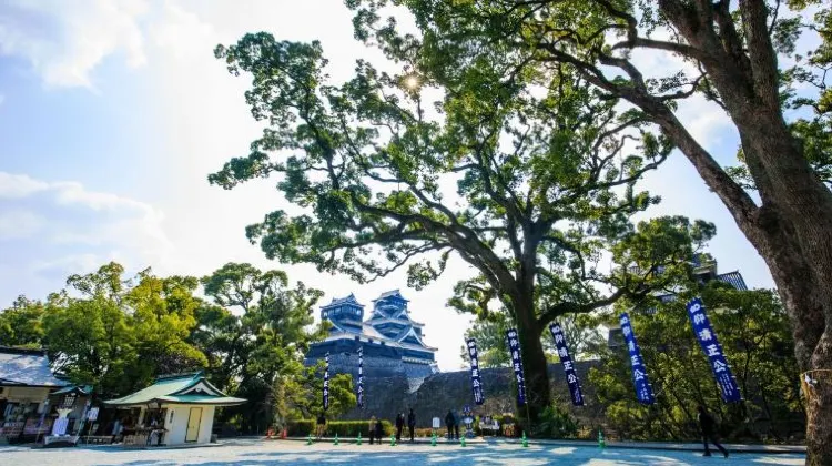 熊本のお土産選びでよくある質問