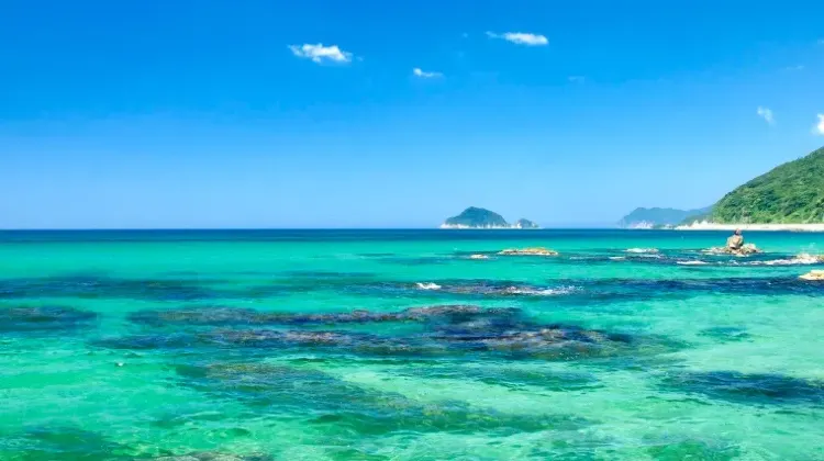 山口のお土産選びでよくある質問