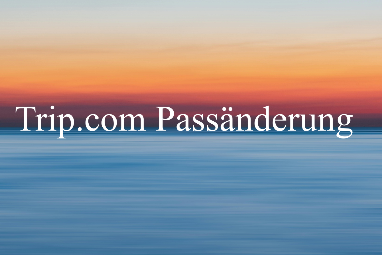 Passdaten auf Trip.com ändern