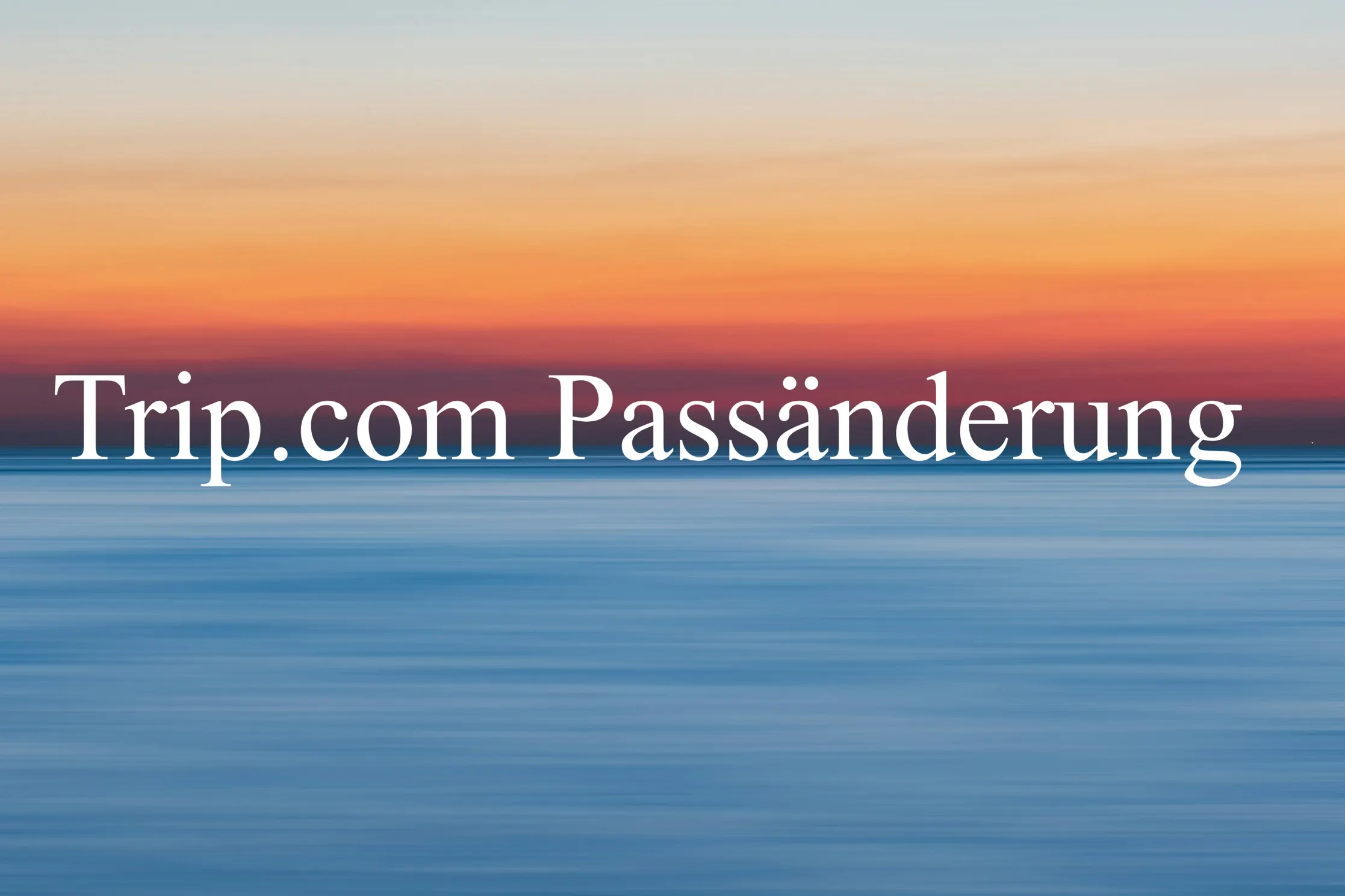 Trip.com Passänderung