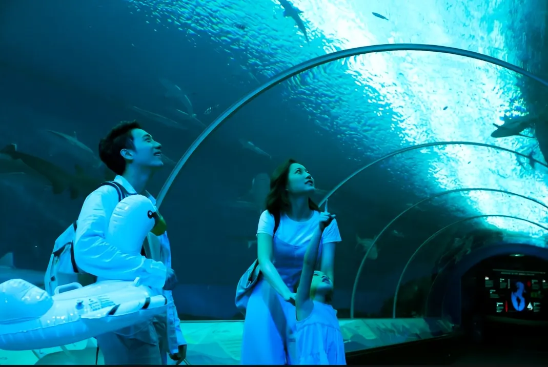 พิพิธภัณฑ์สัตว์น้ำ ซี อควาเรียม S.E.A. Aquarium