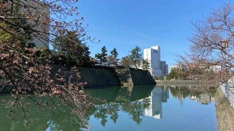 福井のひとり旅でよくある質問