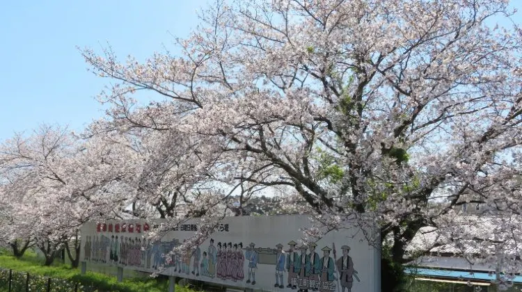 女子ひとり旅の浜松旅行で注意するべき3つのこと