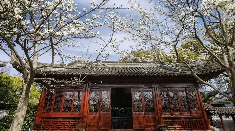中国・上海の3月の気温や最適な服装