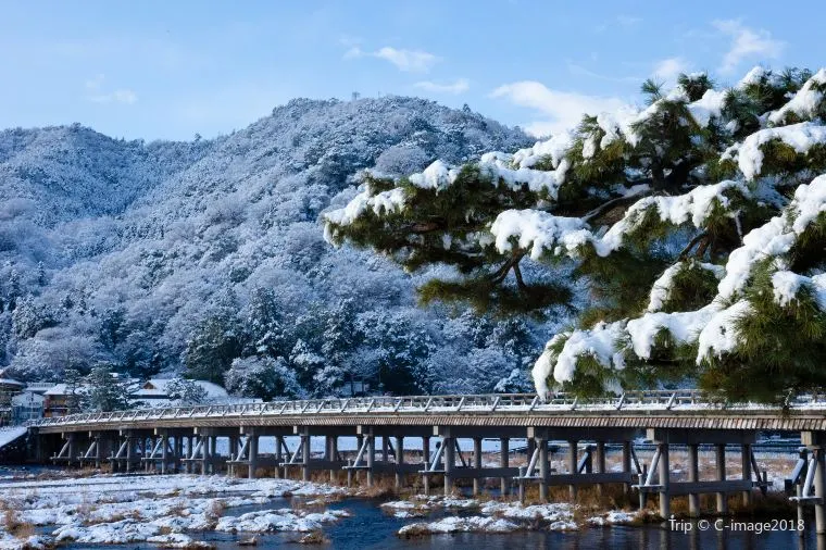 京都氣溫 - 渡月橋