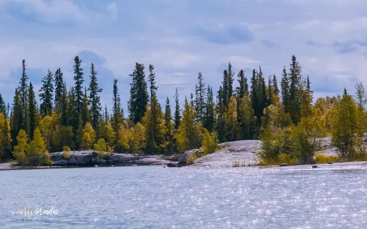 オーロラ旅行の費用