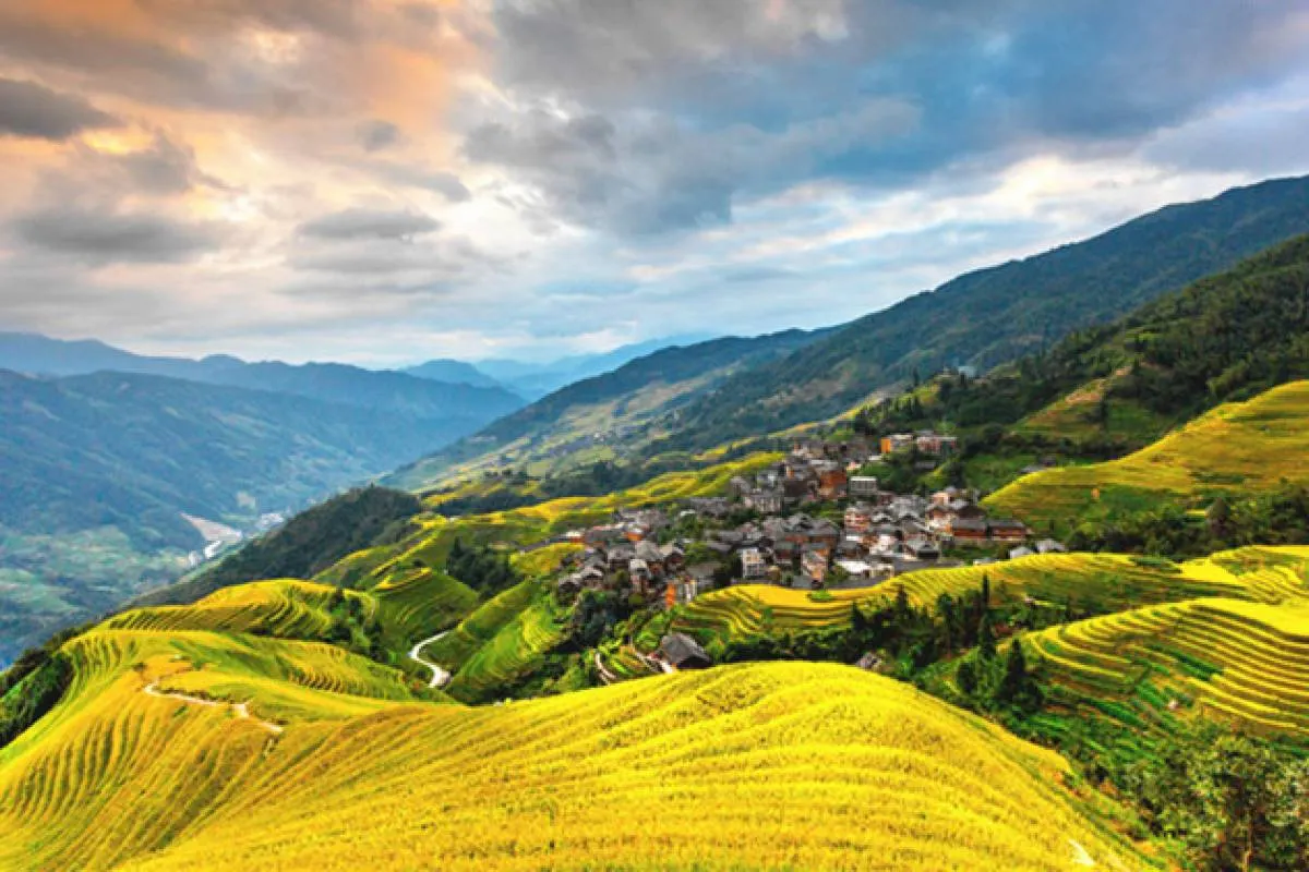 Longji Rice Terraces