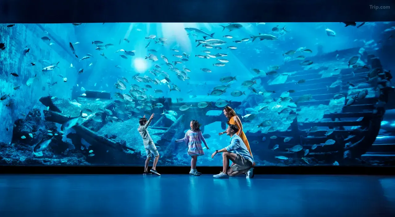 Family Room Hotel Singapore: Resorts World Sentosa - Crockfords Tower