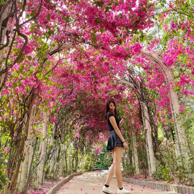 元州邨杜鵑花隧道