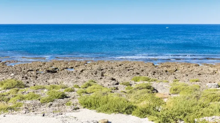 お得に台湾2泊3日旅行を楽しむならTrip.comで！