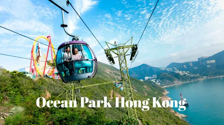 Dapatkan Penawaran Terbaik untuk Tiket Ocean Park Hong Kong-Trip.com
