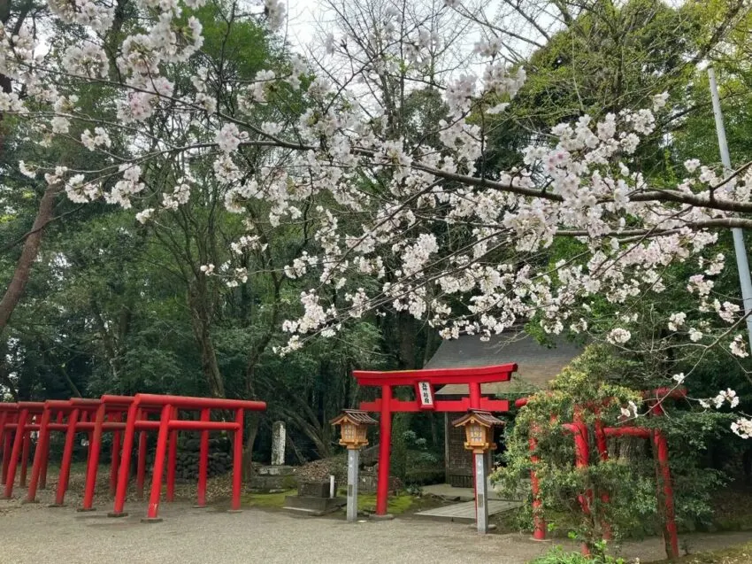 宮崎神宮